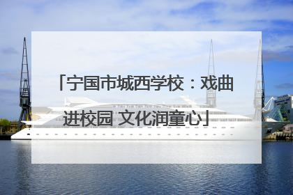 宁国市城西学校：戏曲进校园 文化润童心